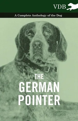 The German Pointer
