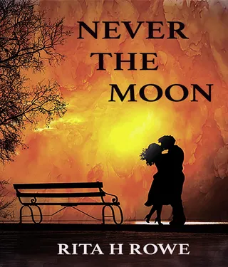 Never The Moon