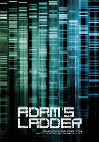 Adam's Ladder