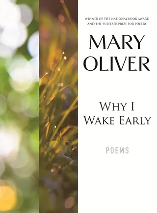 Why I Wake Early