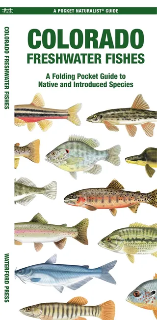 Colorado Freshwater Fishes