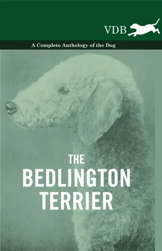 The Bedlington Terrier - A Complete Anthology of the Dog