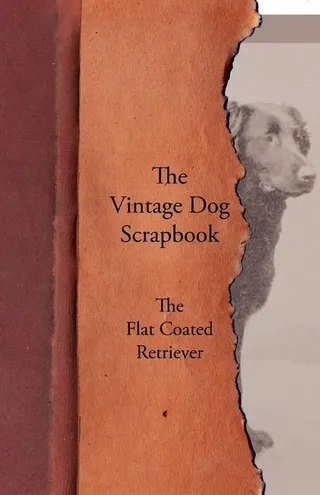 The Vintage Dog Scrapbook - The Flat Coated Retriever