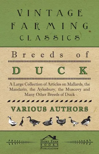 Breeds of Duck