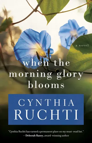 When the Morning Glory Blooms
