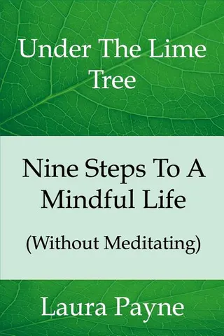 Nine Steps To a Mindful Life (Without Meditating)