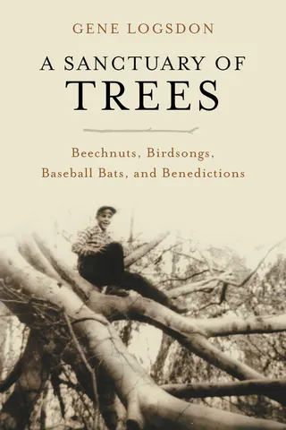 A Sanctuary of Trees