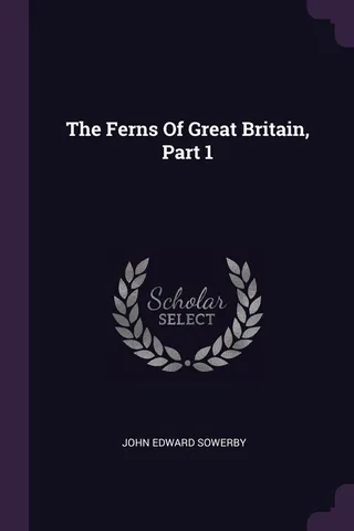 The Ferns Of Great Britain
