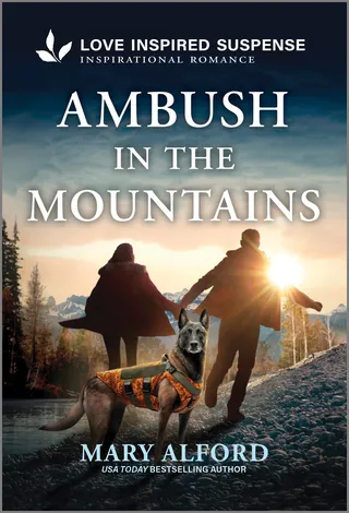 Ambush In The Mountains