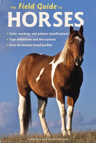 Field Guide to Horses