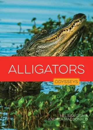 Alligators