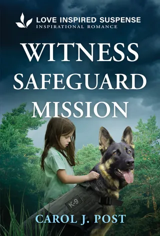 Witness Safeguard Mission