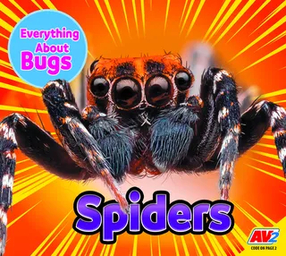 Everything about Bugs