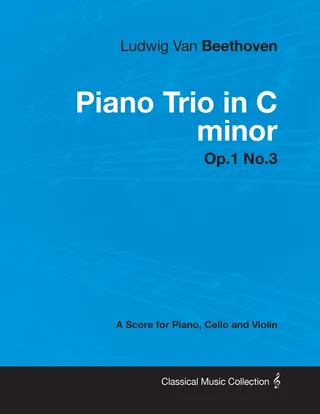 Ludwig Van Beethoven - Piano Trio in C minor