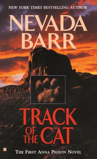Track of the Cat