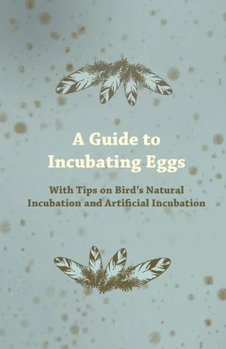 Guide to Incubating Eggs