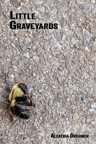 Little Graveyards