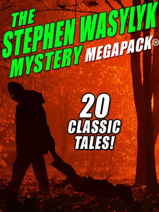 Stephen Wasylyk Mystery
