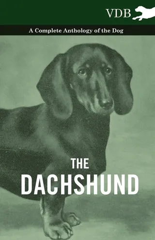 The Dachshund