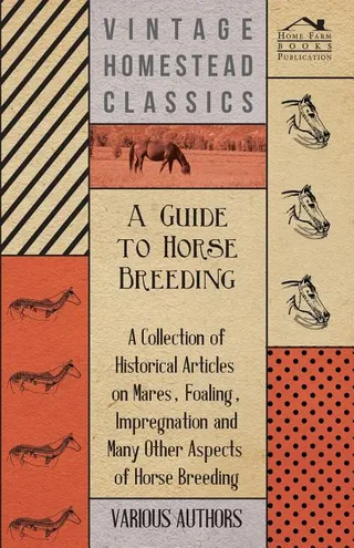 A Guide to Horse Breeding