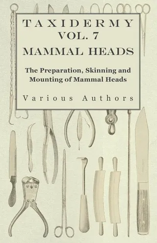 Taxidermy Vol. 7 Mammal Heads