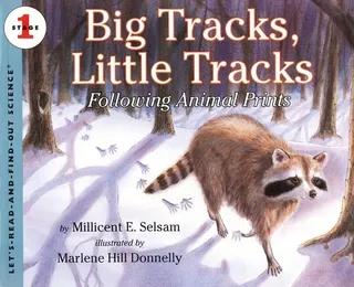Big Tracks Little Tracks