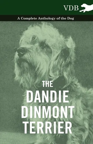 The Dandie Dinmont Terrier