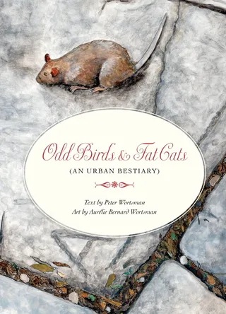 Odd Birds & Fat Cats