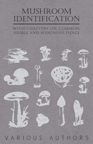 Mushroom Identification
