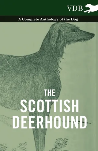 The Scottish Deerhound