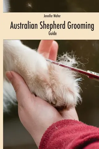 Australian Shepherd Grooming