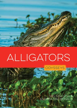 Alligators
