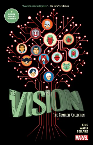 Vision