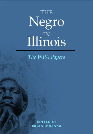 The Negro in Illinois