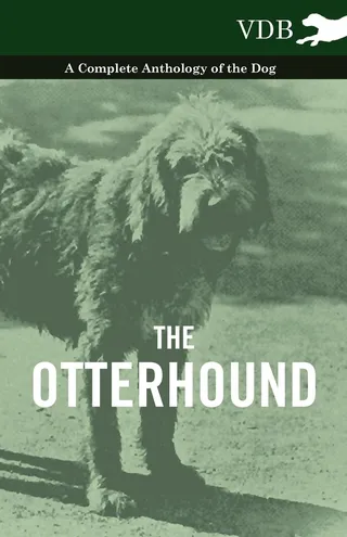 The Otterhound