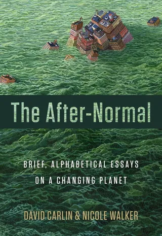 The After-Normal
