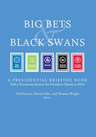 Big Bets and Black Swans