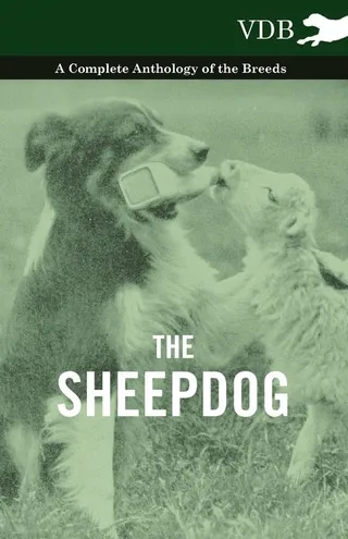 The Sheepdog