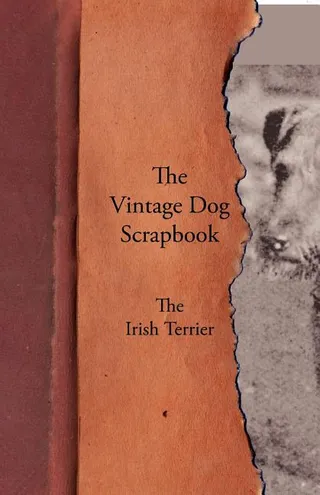 The Vintage Dog Scrapbook - The Irish Terrier