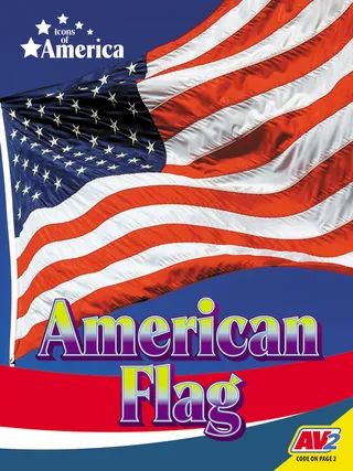 The American Flag