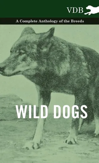Wild Dogs