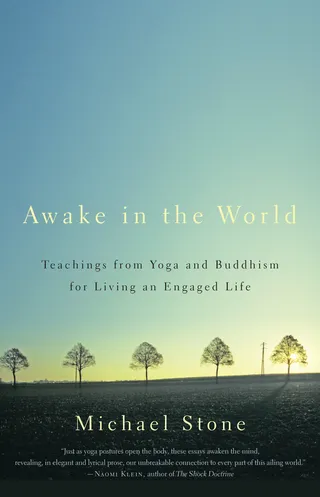 Awake in the World