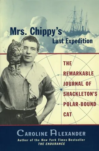 Mrs. Chippy's Last Expedition