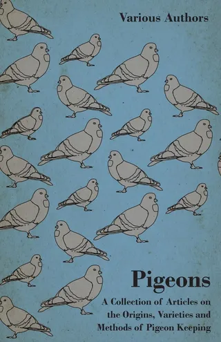 Pigeons