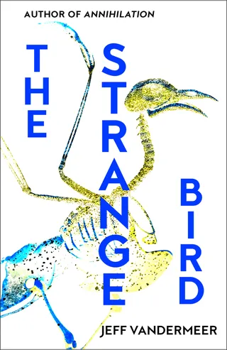 The Strange Bird