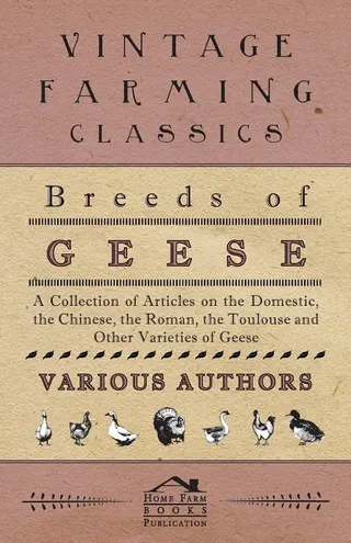 Breeds of Geese