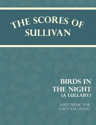 Birds in the Night - A Lullaby