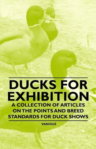 Ducks for Exhibition