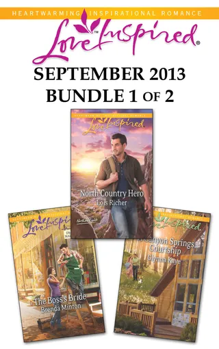 Love Inspired September 2013 Bundle 1 of 2