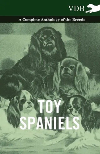 Toy Spaniels